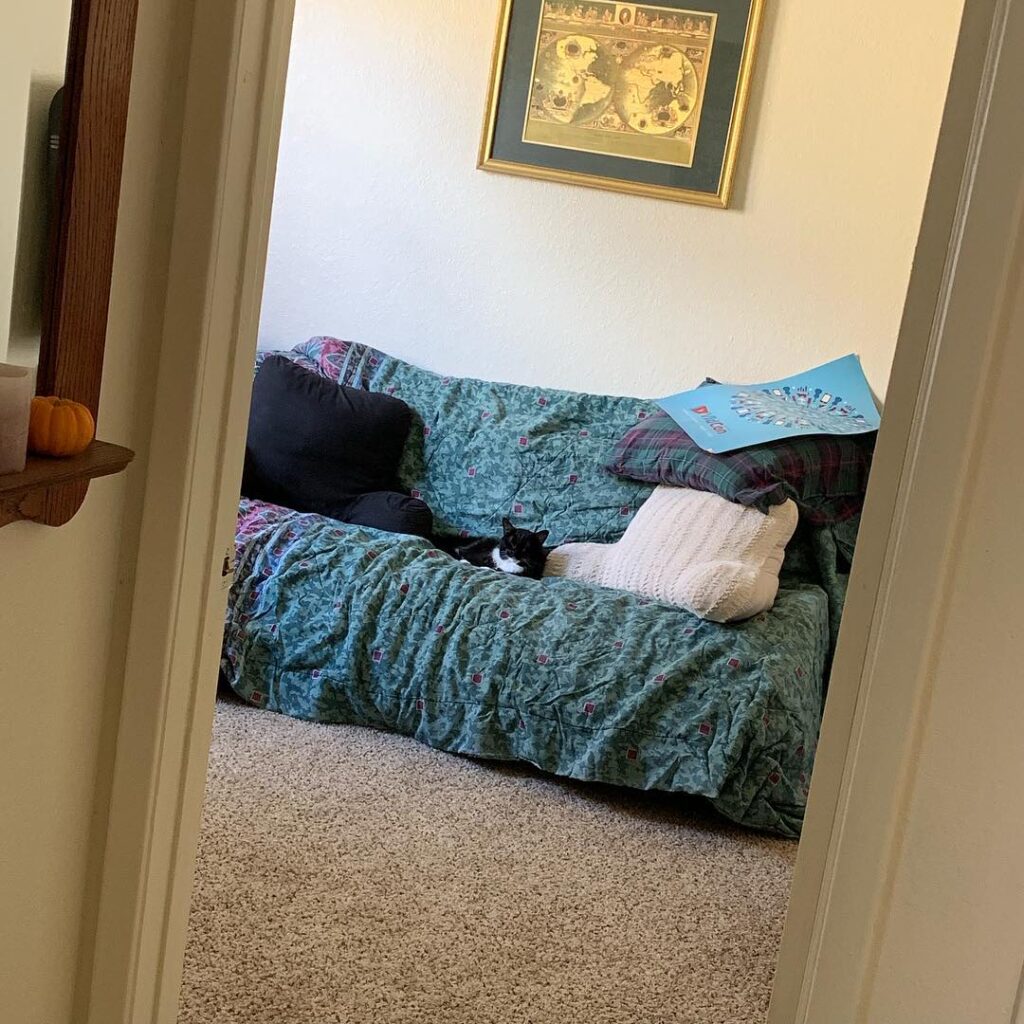 My sleepy fur child in her room.