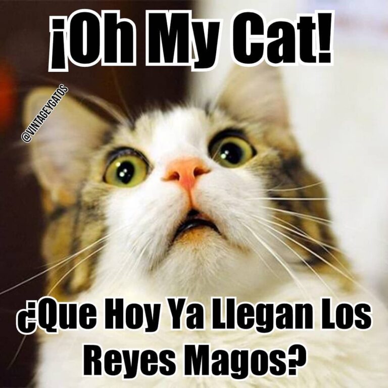 OMC! Ya hicieron su carta a los Reyes Magos? . El día de hoy estamos