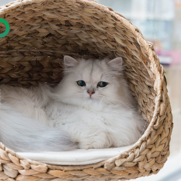 One look at wicker furniture, and you are overcome by a feeling of