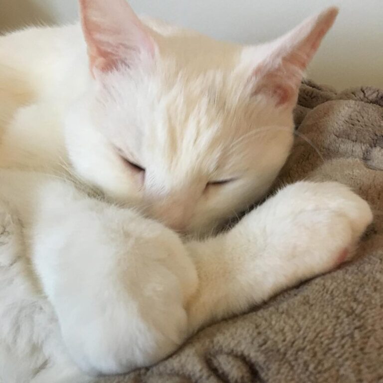 Our last together for the next 7 months or so. I’m going to miss him