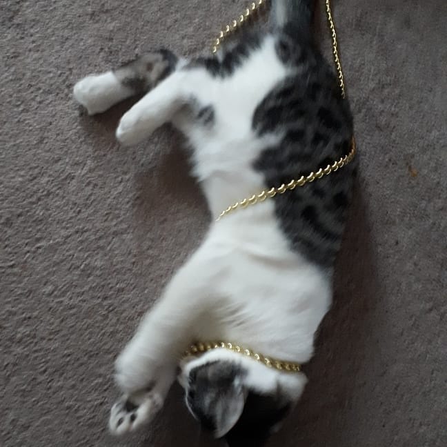 Play time is all the time.. . . . .