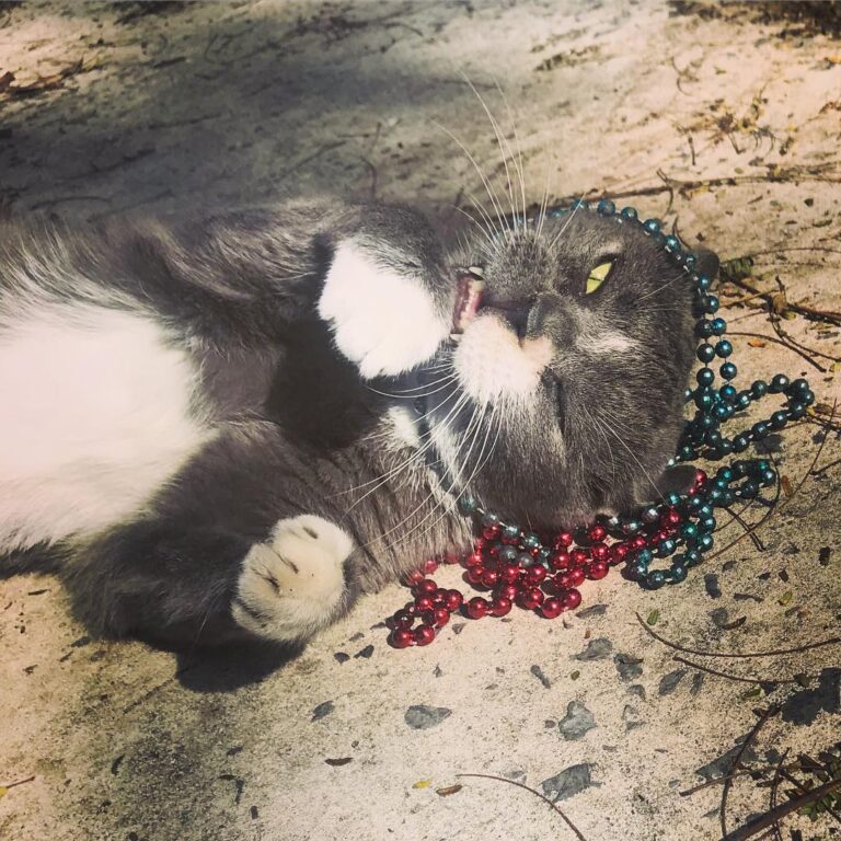 Practicing for 2019! I plan on coming home with all the beads! See