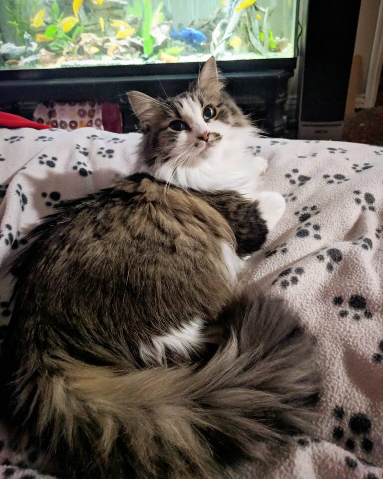 Saturday snuggles