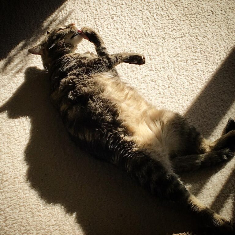 Saturday’s are for sunbathing