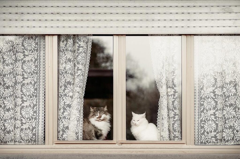 Sguardi indiscreti
