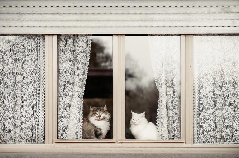 Sguardi indiscreti