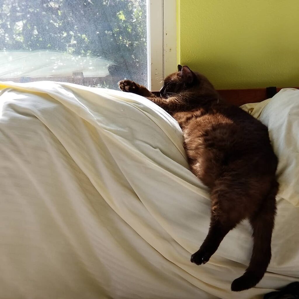Somehow defying gravity again.