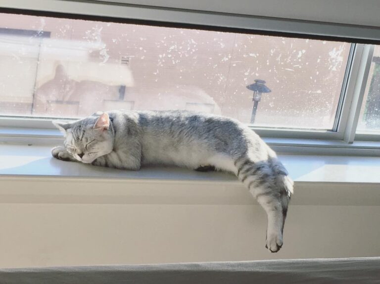That sunlight on my back… I’m just going to close my eyes and