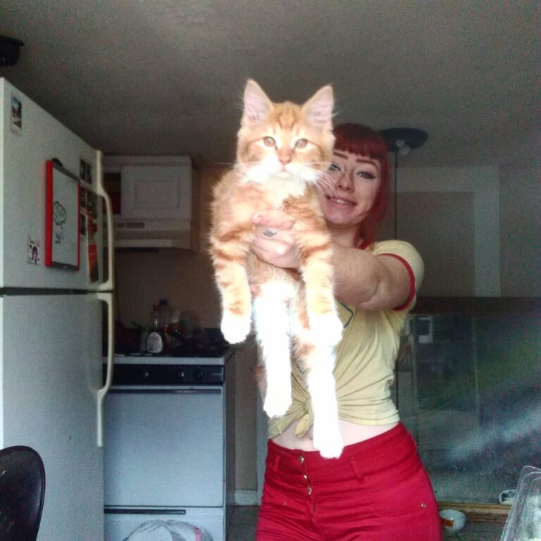 The more people I meet the more I like my cat ove