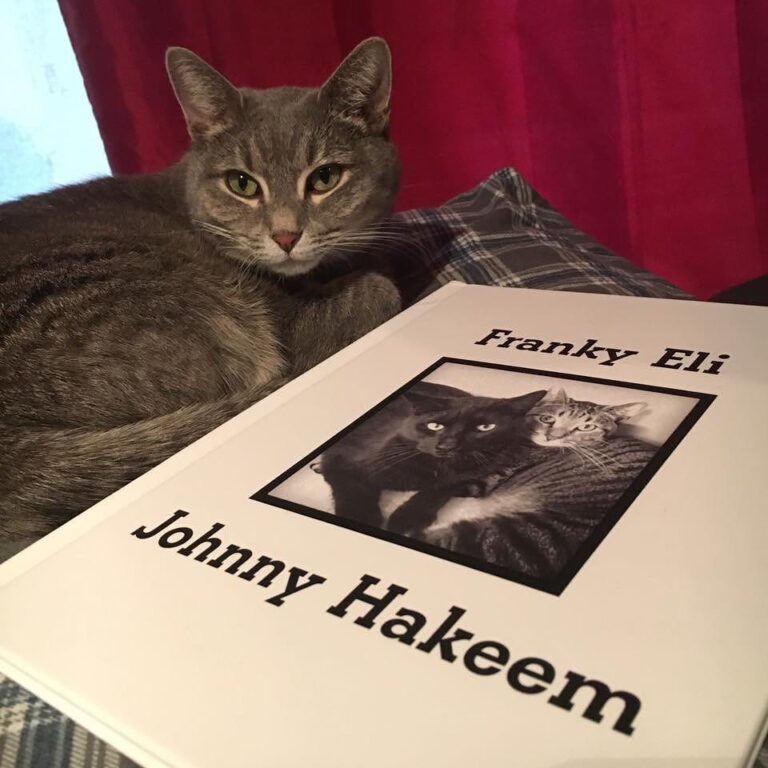 Thought you might like to see Athena again. She is Franky and