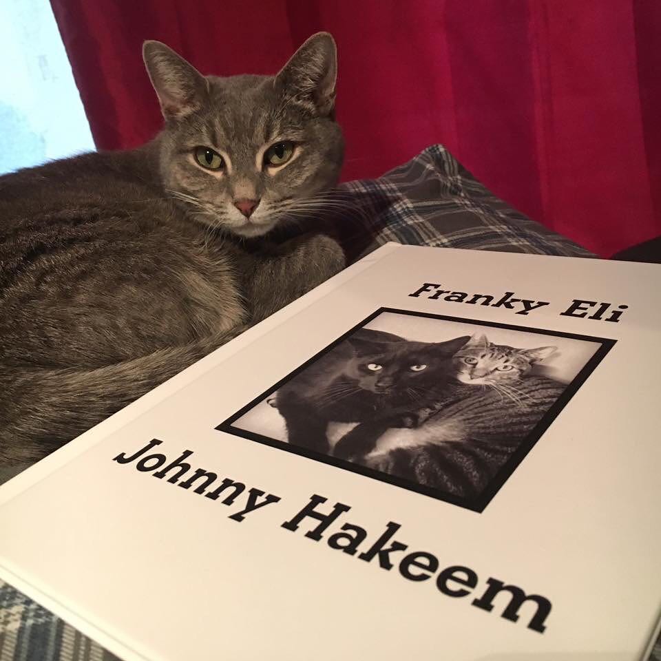 Thought you might like to see Athena again. She is Franky and