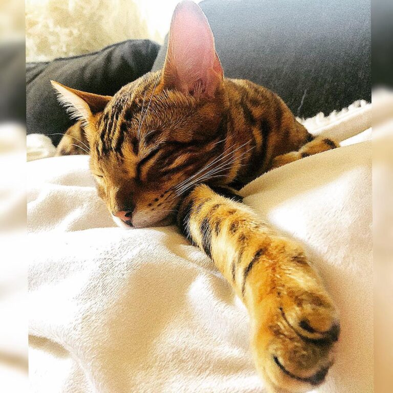 Today is Saturday..! I plan on ,eating and doing NOTHING!
