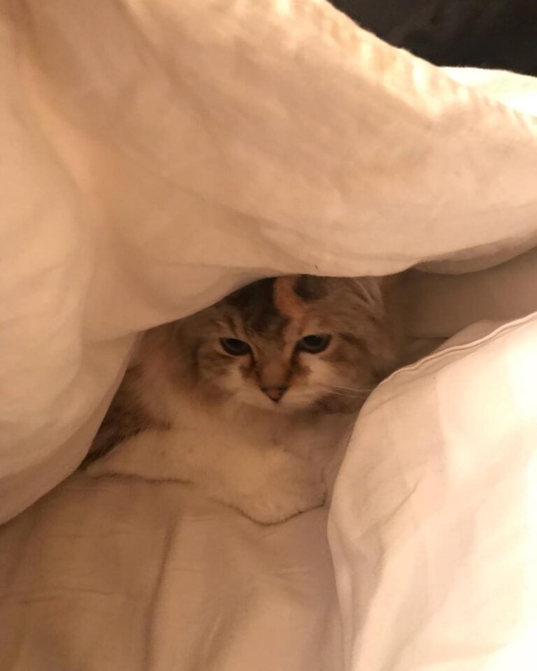 Too chilly not to snuggle!