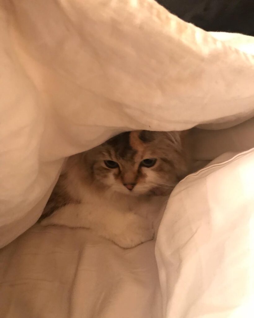 Too chilly not to snuggle!