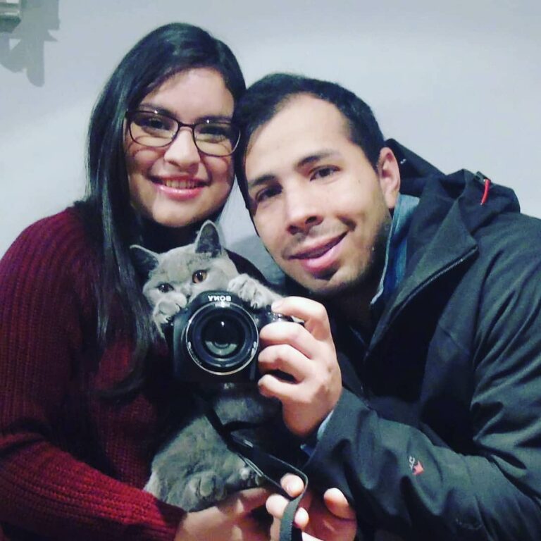 Una hermosa gatita azul. Ya tiene perfil para compartir sus aventuras
