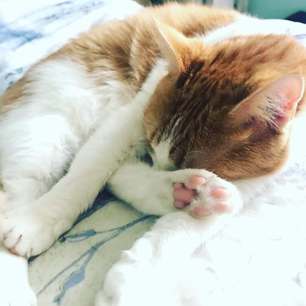 Unapologetic toe beans