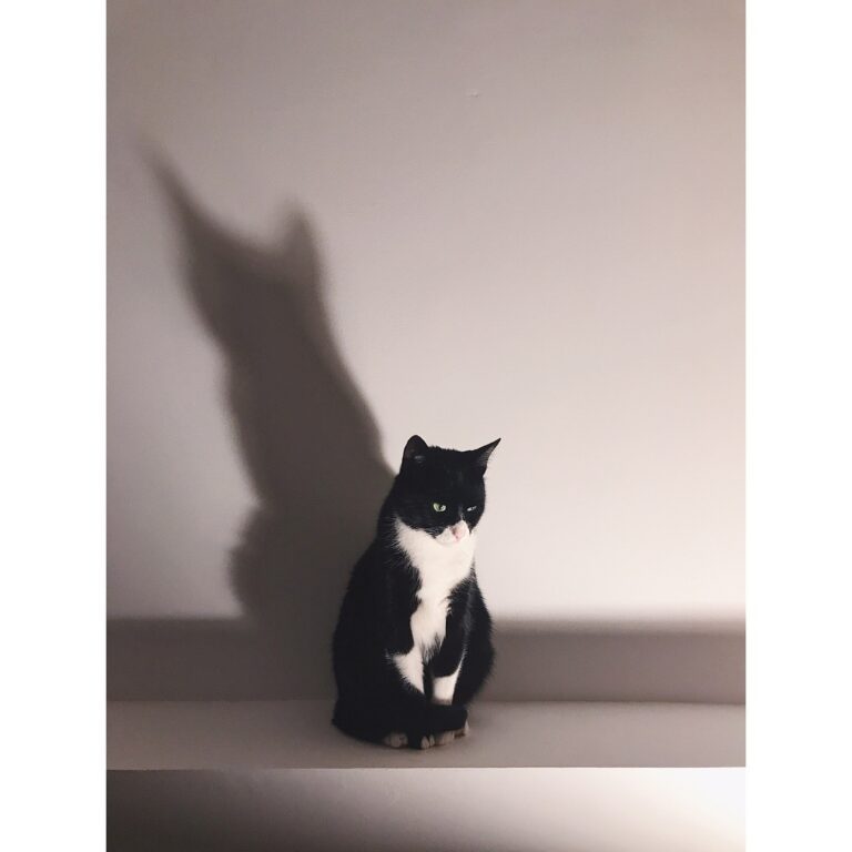 Wayne lost in his thoughts