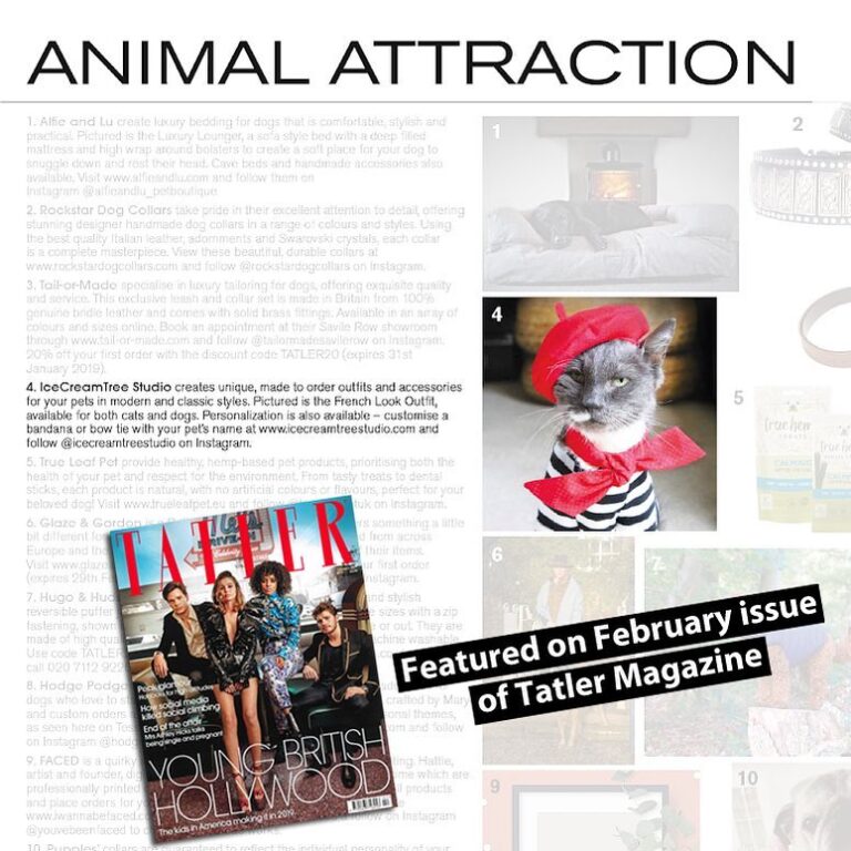 We are featured on the February issue of again! Thank you! . I want