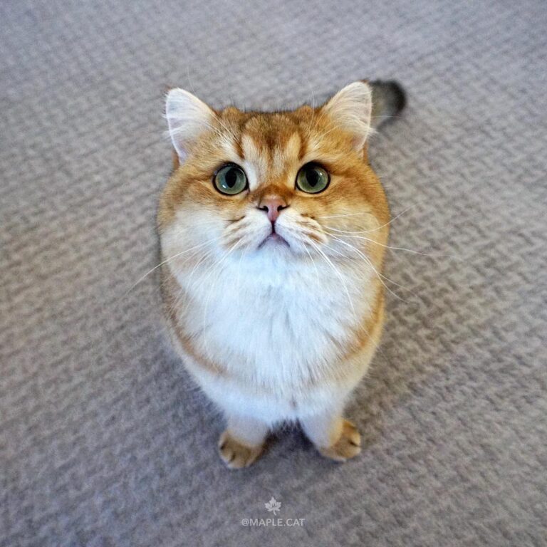 What are you up to today? Can you take me with you? ⠀⠀⠀⠀⠀⠀⠀⠀⠀⠀⠀⠀