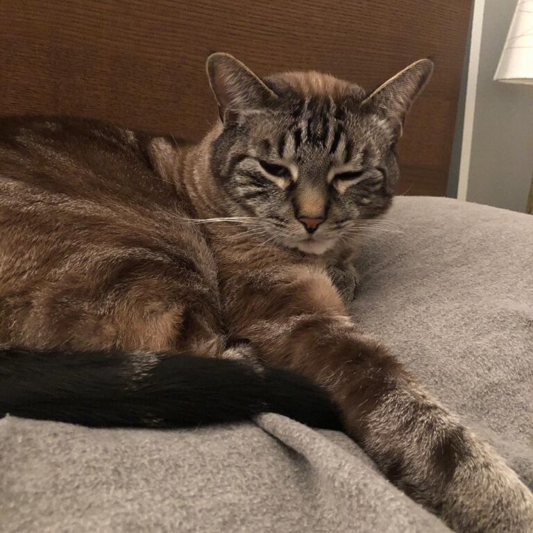 What do you mean it’s time to wake up???