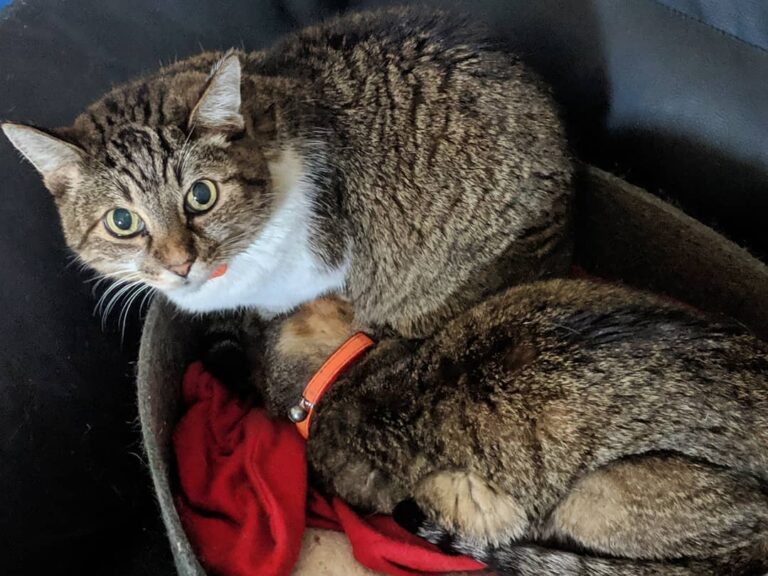 What, you don’t bury your head under your sister?