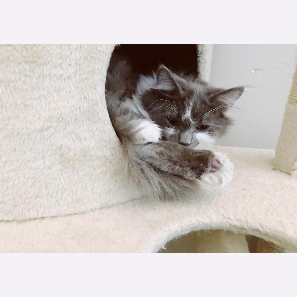 When you find that perfect cozy position. If you don’t have a cozy