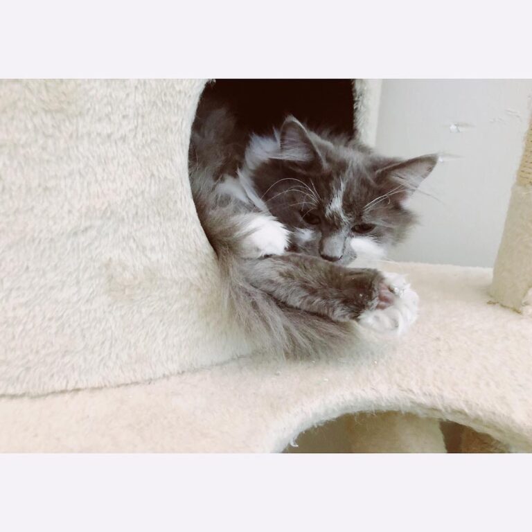 When you find that perfect cozy position. If you don’t have a cozy