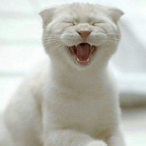 When your favorite song comes on and you cant help but to sing it at