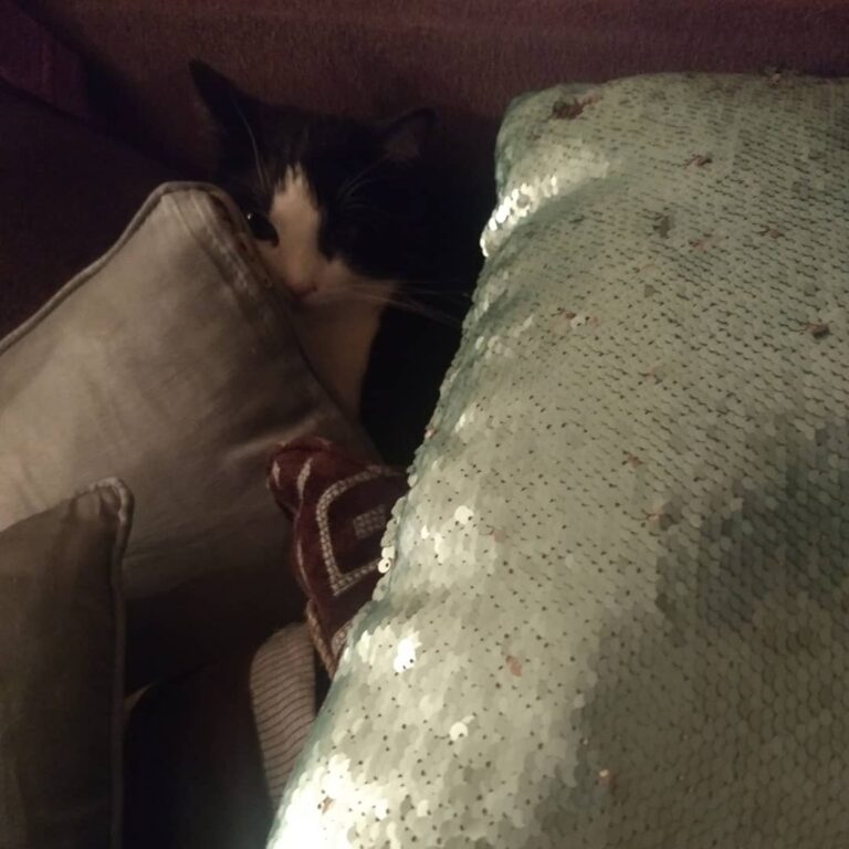 Wondering if she knows how cute she is?