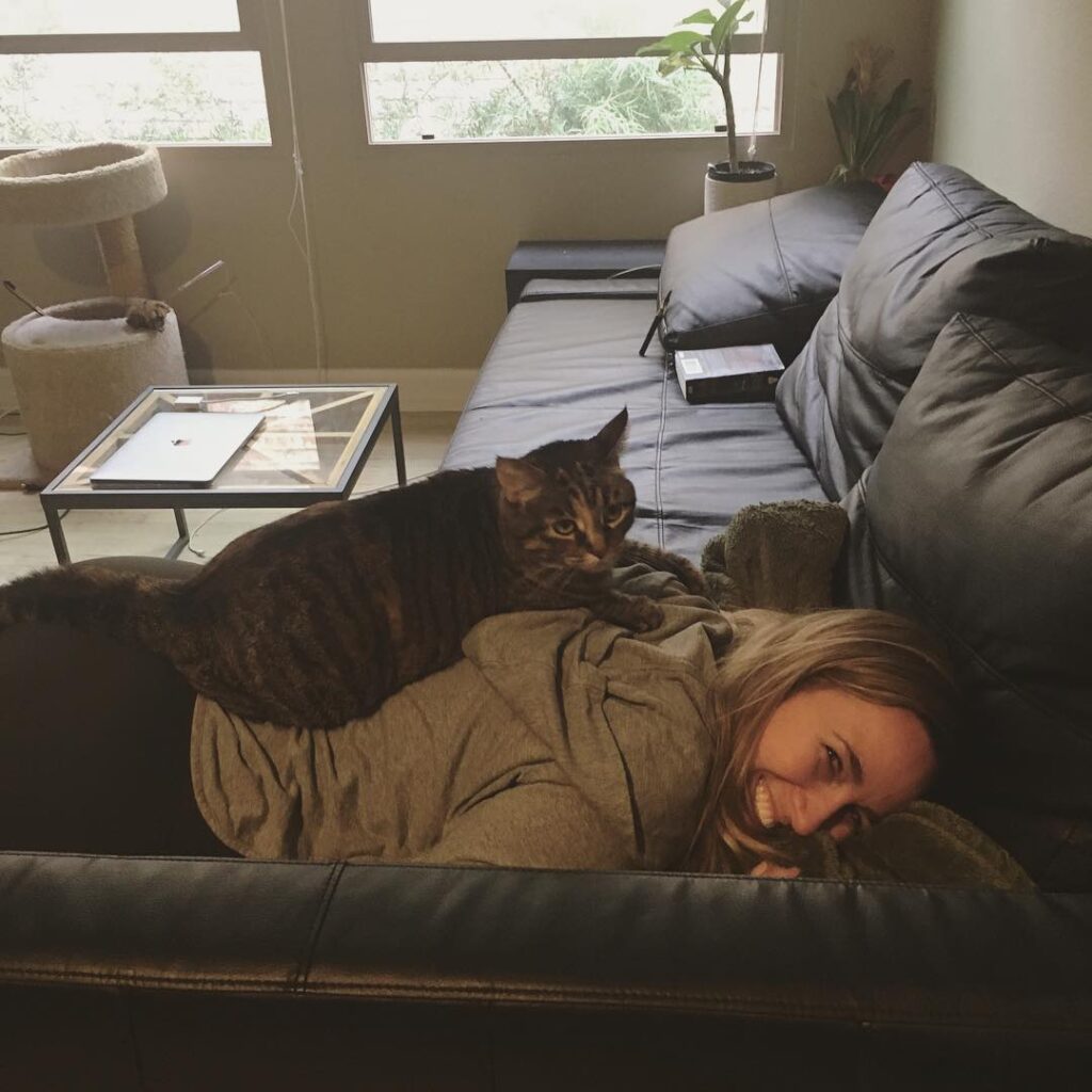 You can see the social hierarchy in our house. Cat > human