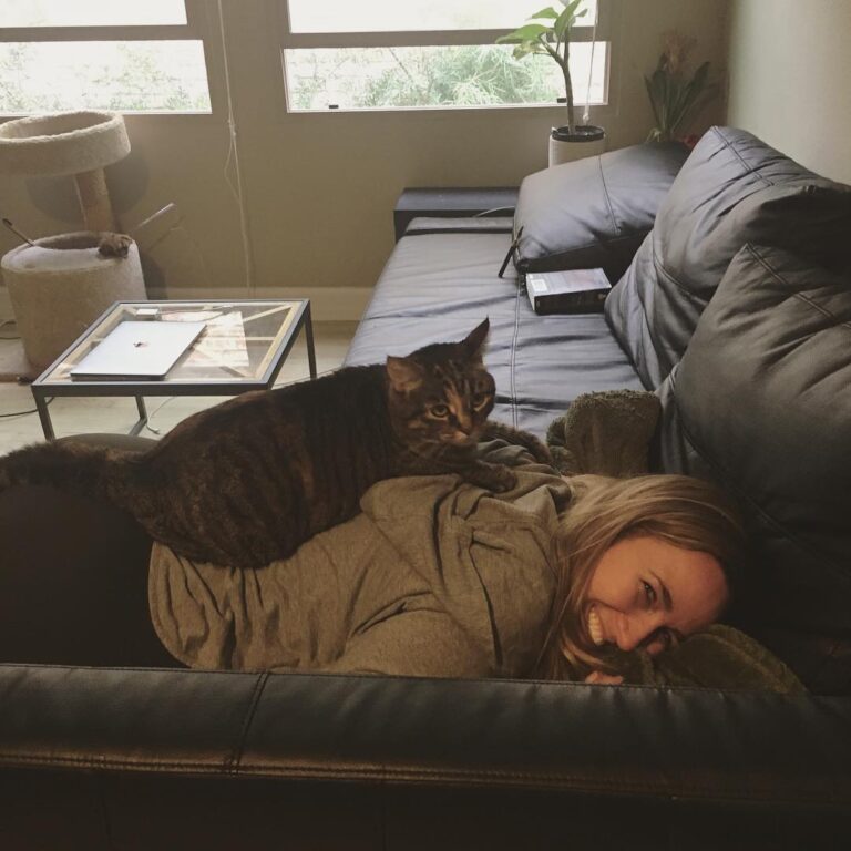 You can see the social hierarchy in our house. Cat > human