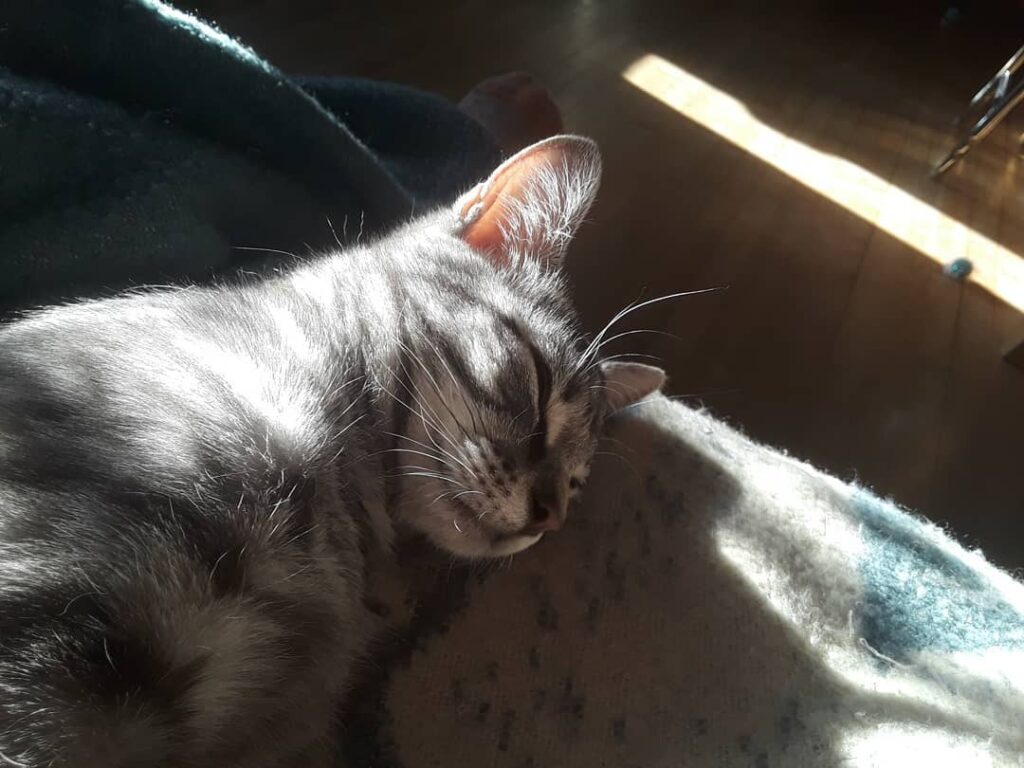 He’s an angel * *