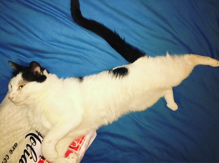 Came in from work early last night. I lured her into a false sense of