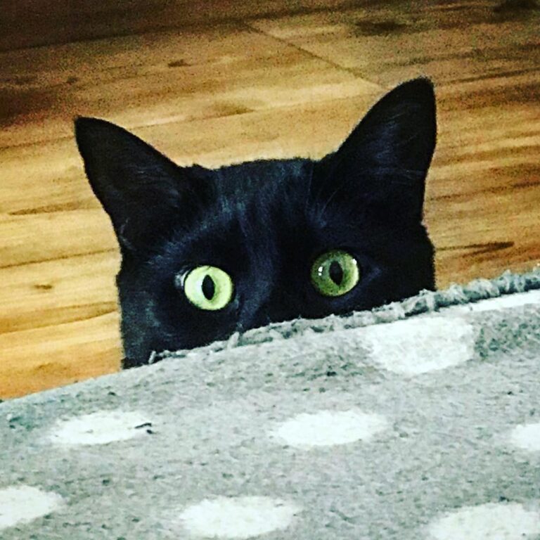 I can see you! ölnirthefirst