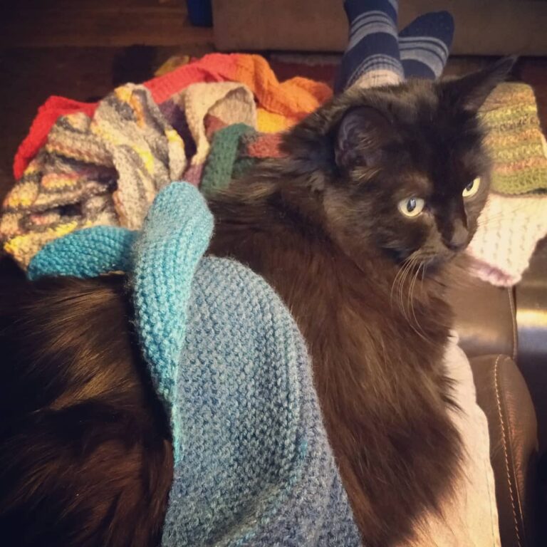 5 Tackling some long time UFOs with some furry help (all things that