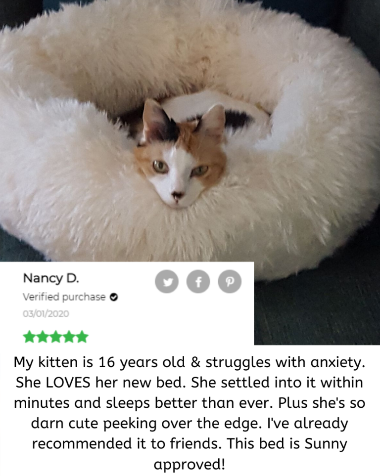 It's so sweet to know that this special bed is making a difference  Currently 50