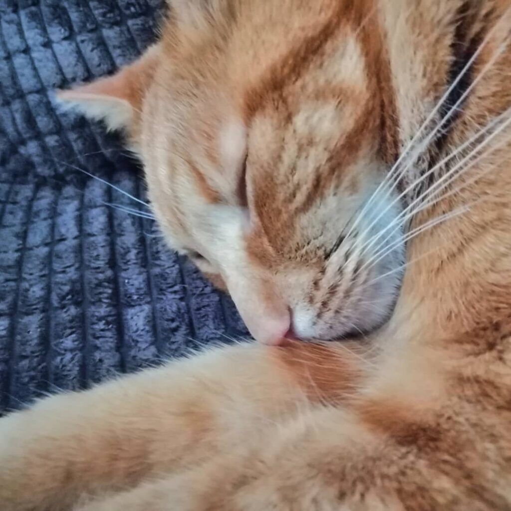 And snooze…!