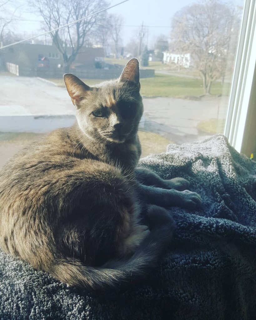 Beautiful day for sun bathing!