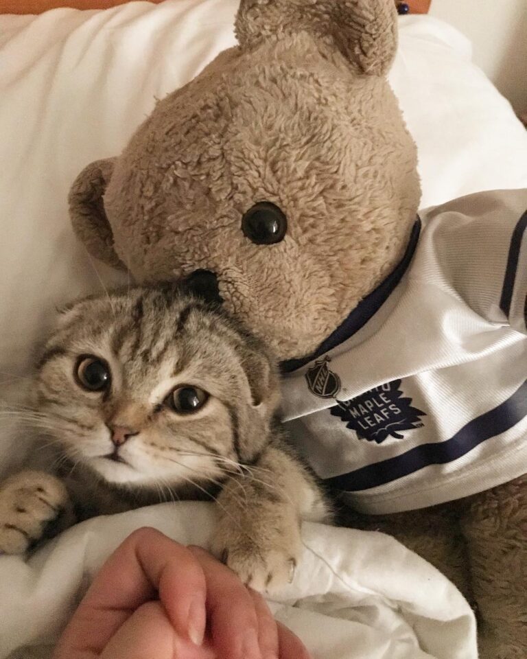 Bed time cuddles with my big brother Ted!