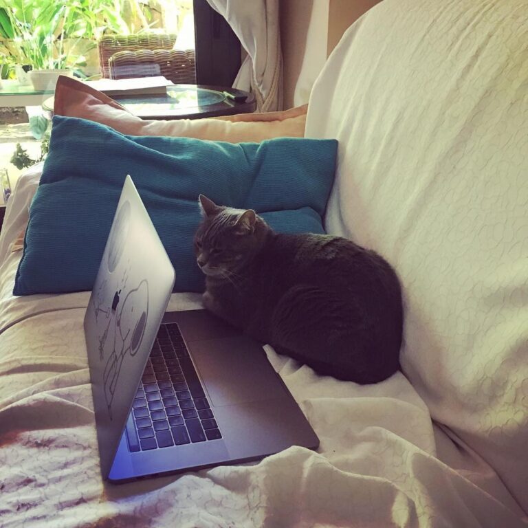 Being a developer is not easy. You have to write a cat, I mean a code