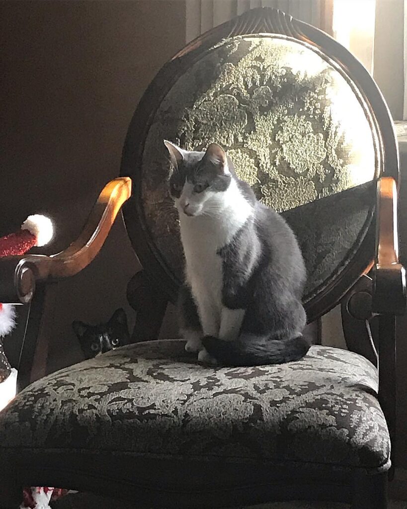 Benny just loves to photobomb my glamour shots. – Macy