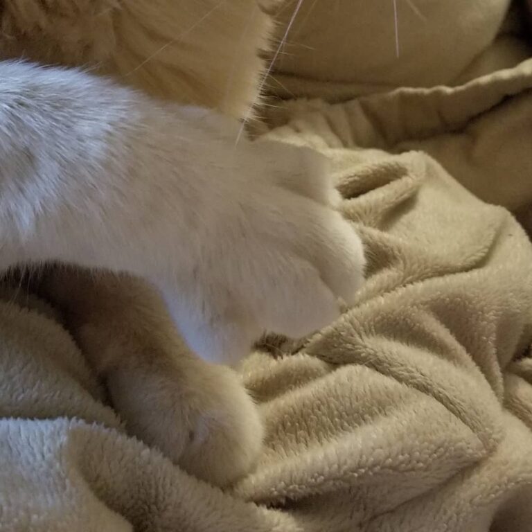 Big, soft mitts.