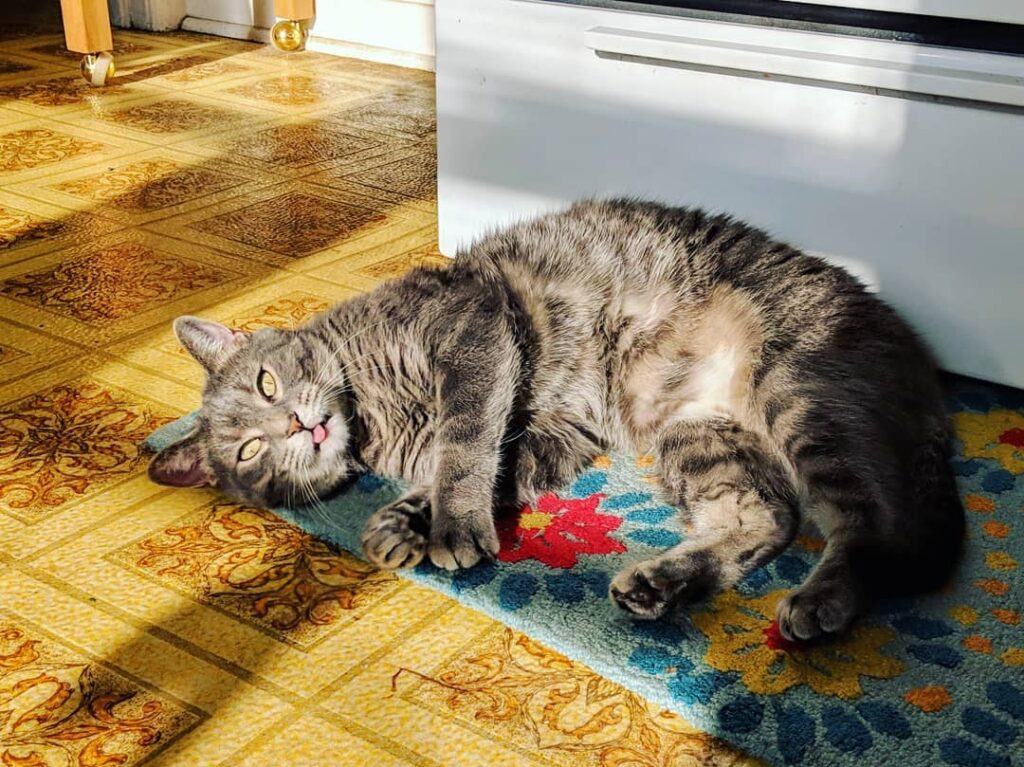 Blep!