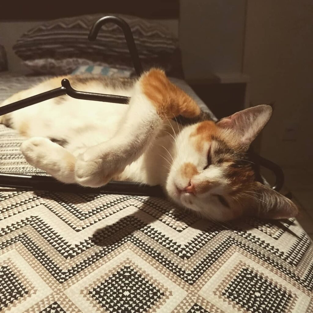 Cada um dorme do jeito que bem quiser!
