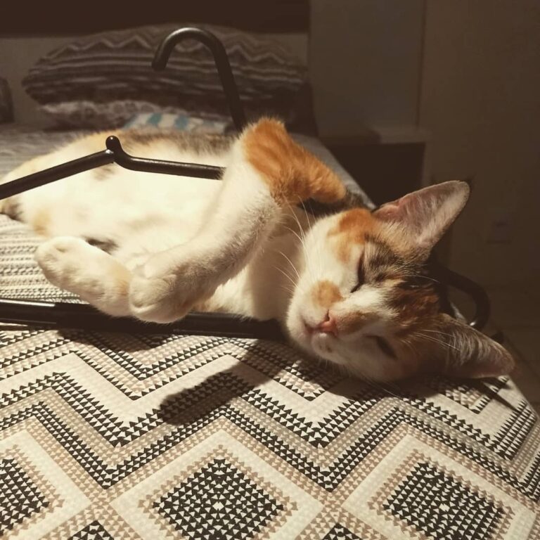 Cada um dorme do jeito que bem quiser!