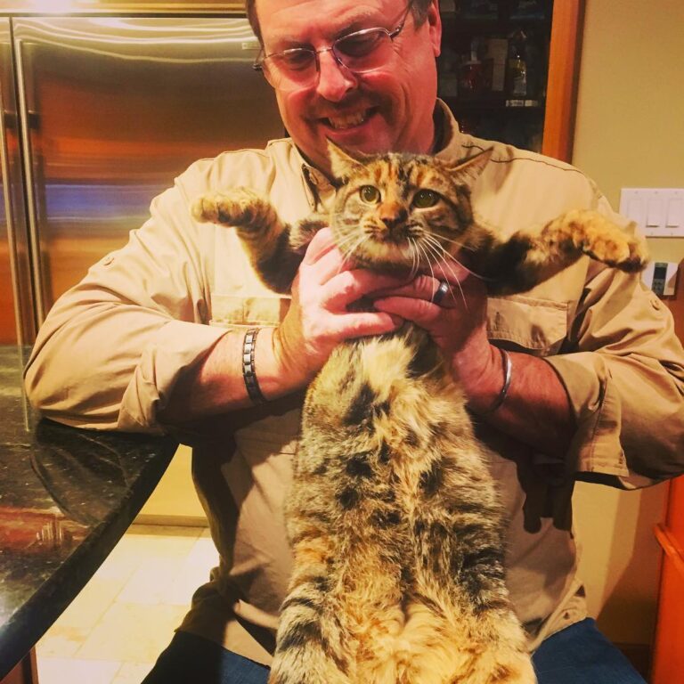 Cats are therapy – just a ball of softness to melt the stresses of