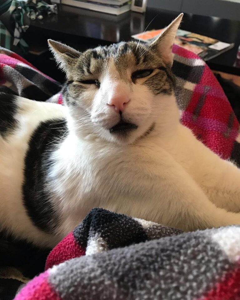 DERP .