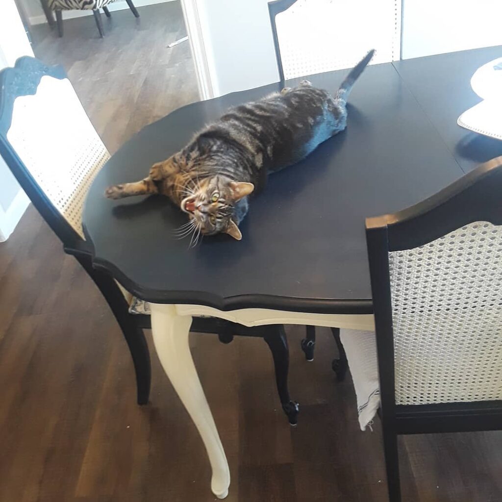 Derp.