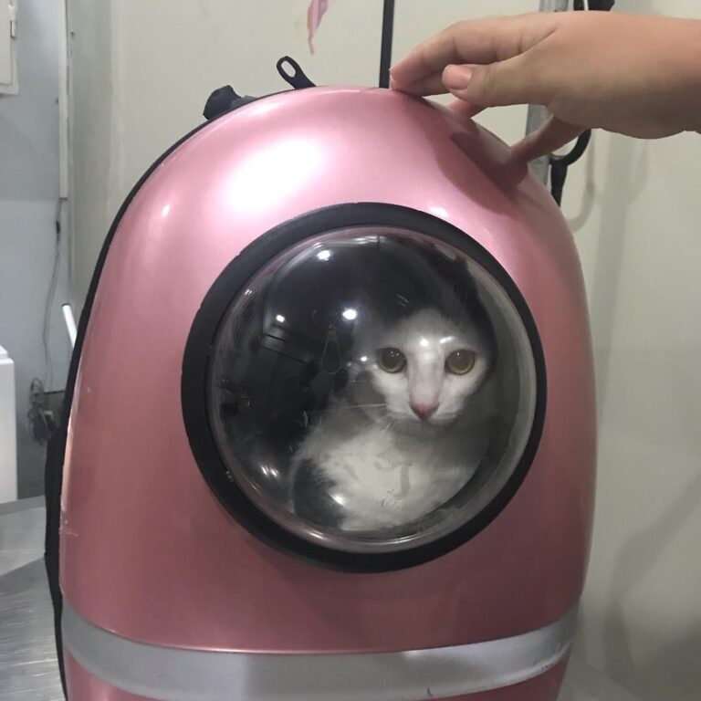 Entrei na minha nave espacial mas mamãe me levou pra tomar vacina!!!