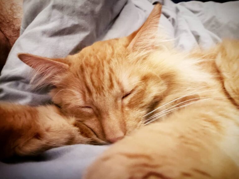First snoozles with Mama and Papa after their trip!